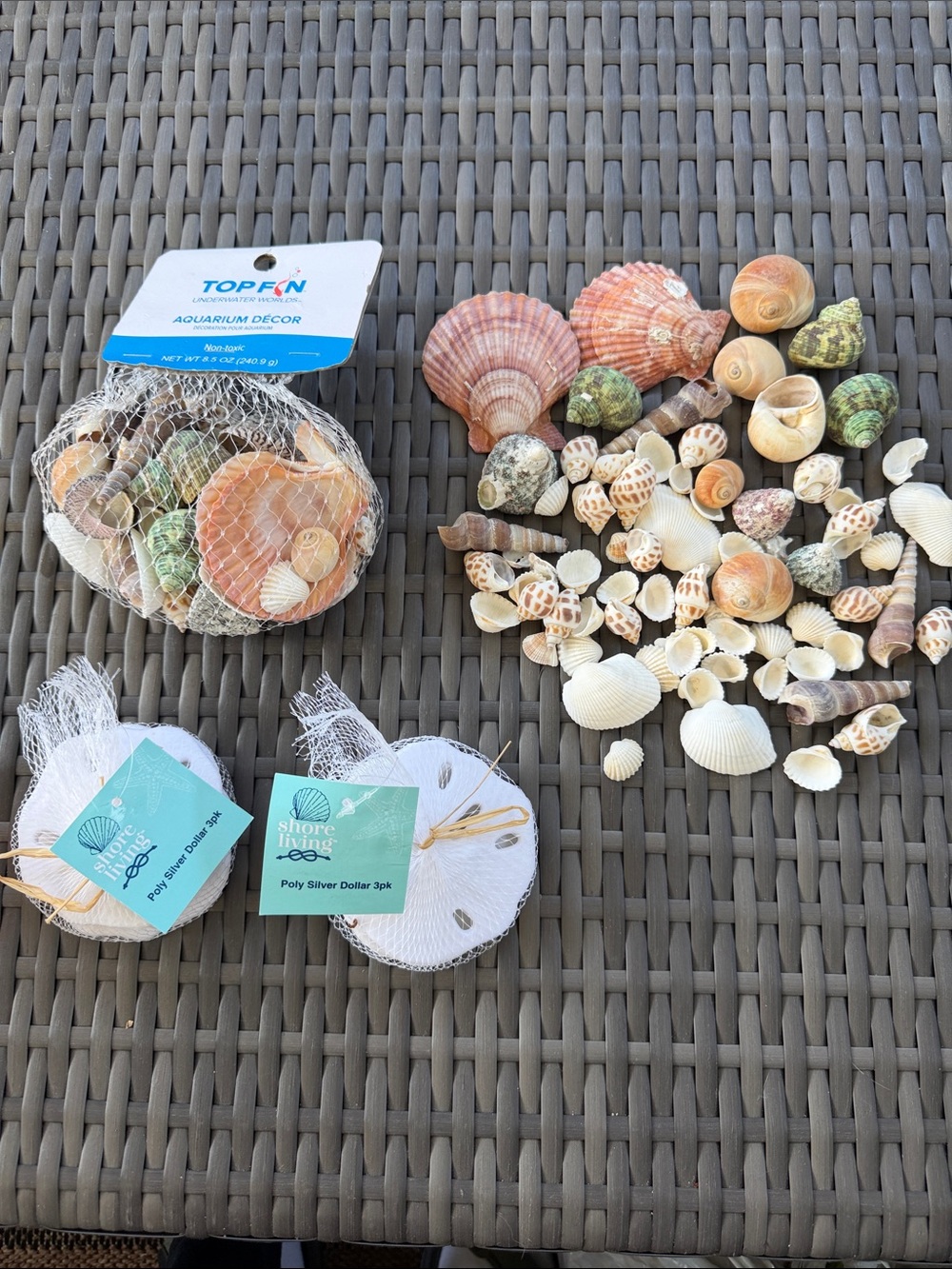 Natural Mixed Seashells Aquarium Decor - Multicolor